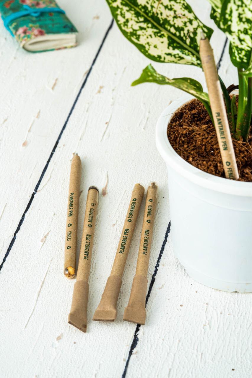 Plantable Blue Pen - Image 2