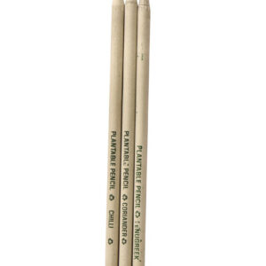 Plantable White Paper Pencil