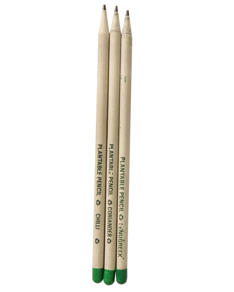 Plantable White Paper Pencil
